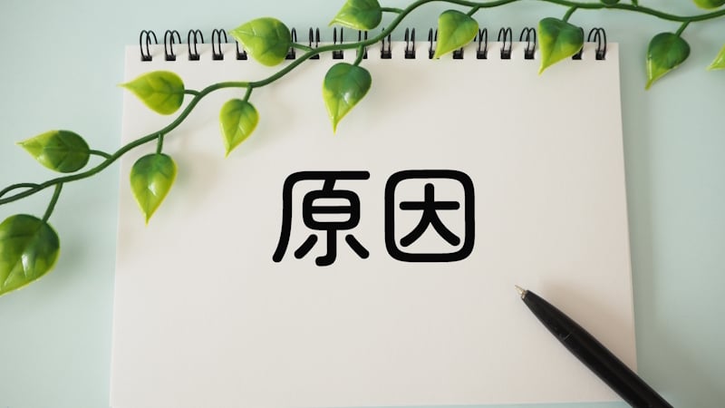 AdobeStock_1209053849