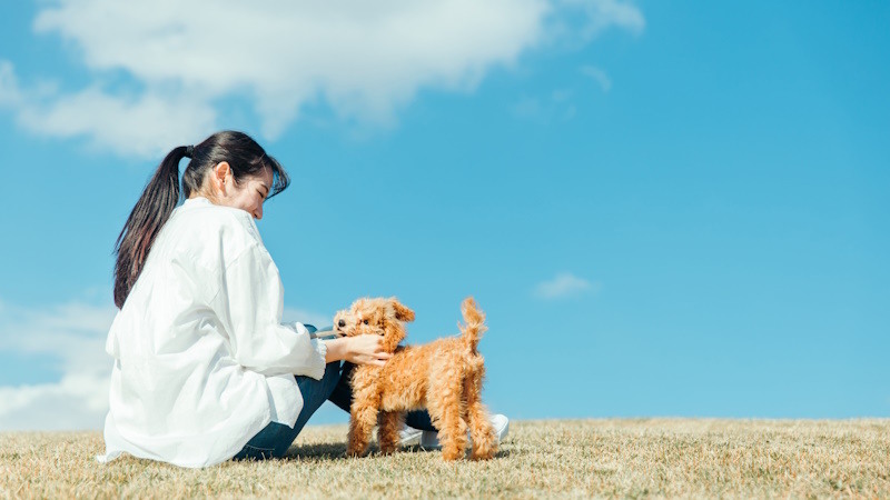 犬と遊ぶ女性
