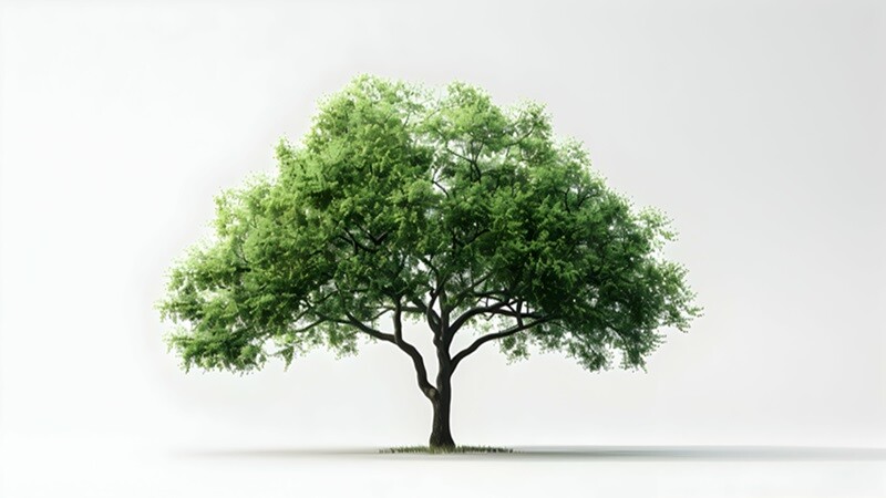 AdobeStock_815930002
